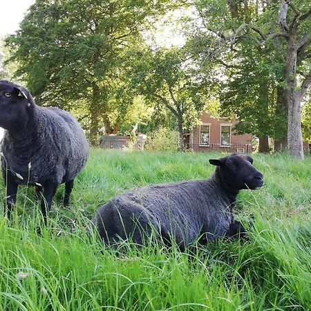 'T Pekelhuis - Vakantiehuisje Op Boerderij Huize Blokland Hem Екстериор снимка