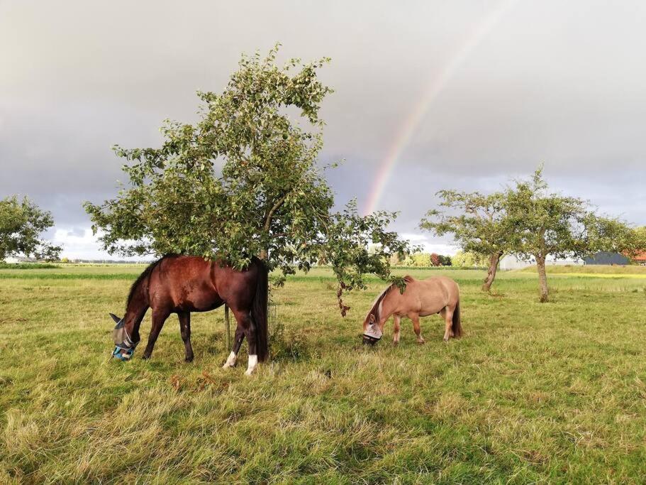 'T Pekelhuis - Vakantiehuisje Op Boerderij Huize Blokland Hem Екстериор снимка